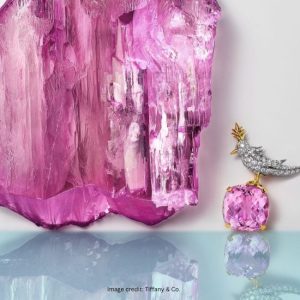 TIFFANY-CO-BIRD-ON-BROOCH-AND-KUZNITE STONE