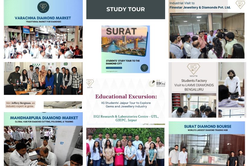 study-tour-images-organised-by-iig-south