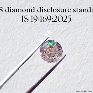 bis-diamond-disclosure standard-is-94692025