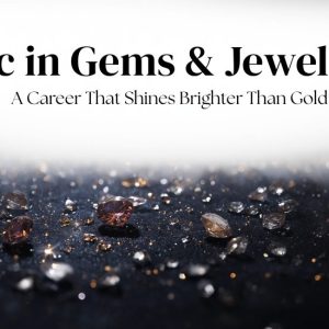 B.sc-in-gems-and-jewellery-by-iig-south
