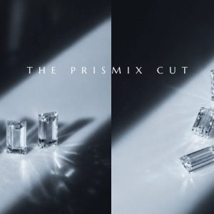 the-prismix-cut